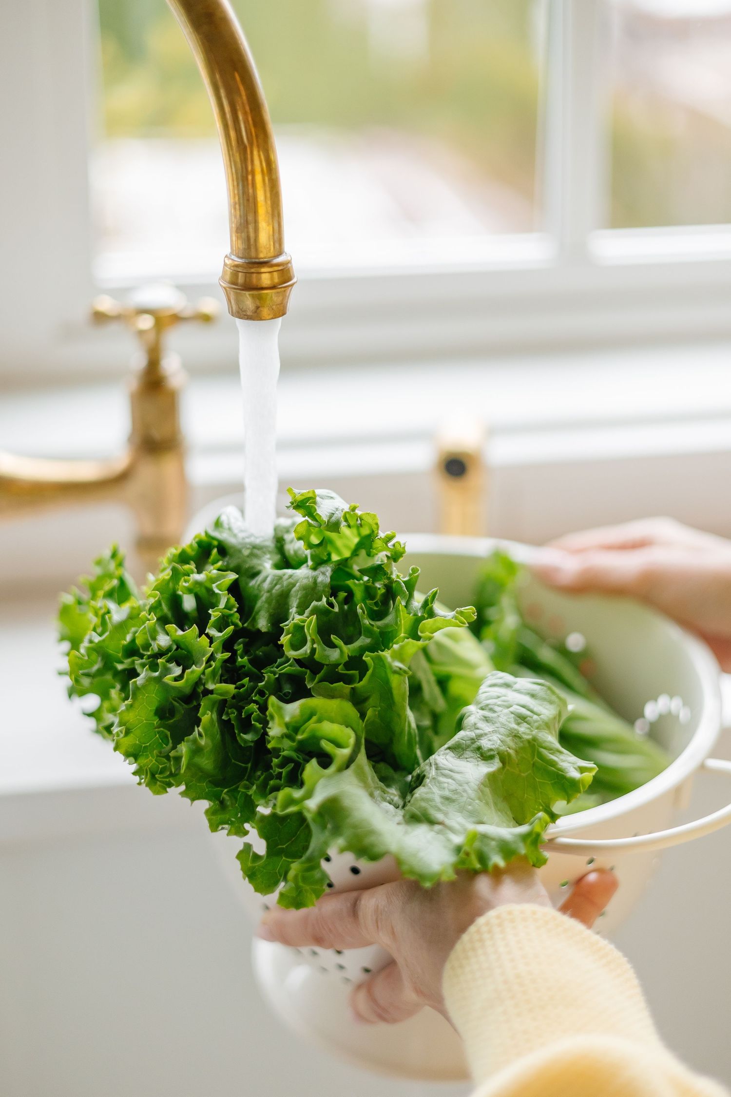 Fresh lettuce being washed under running water from a gold kitchen faucet.