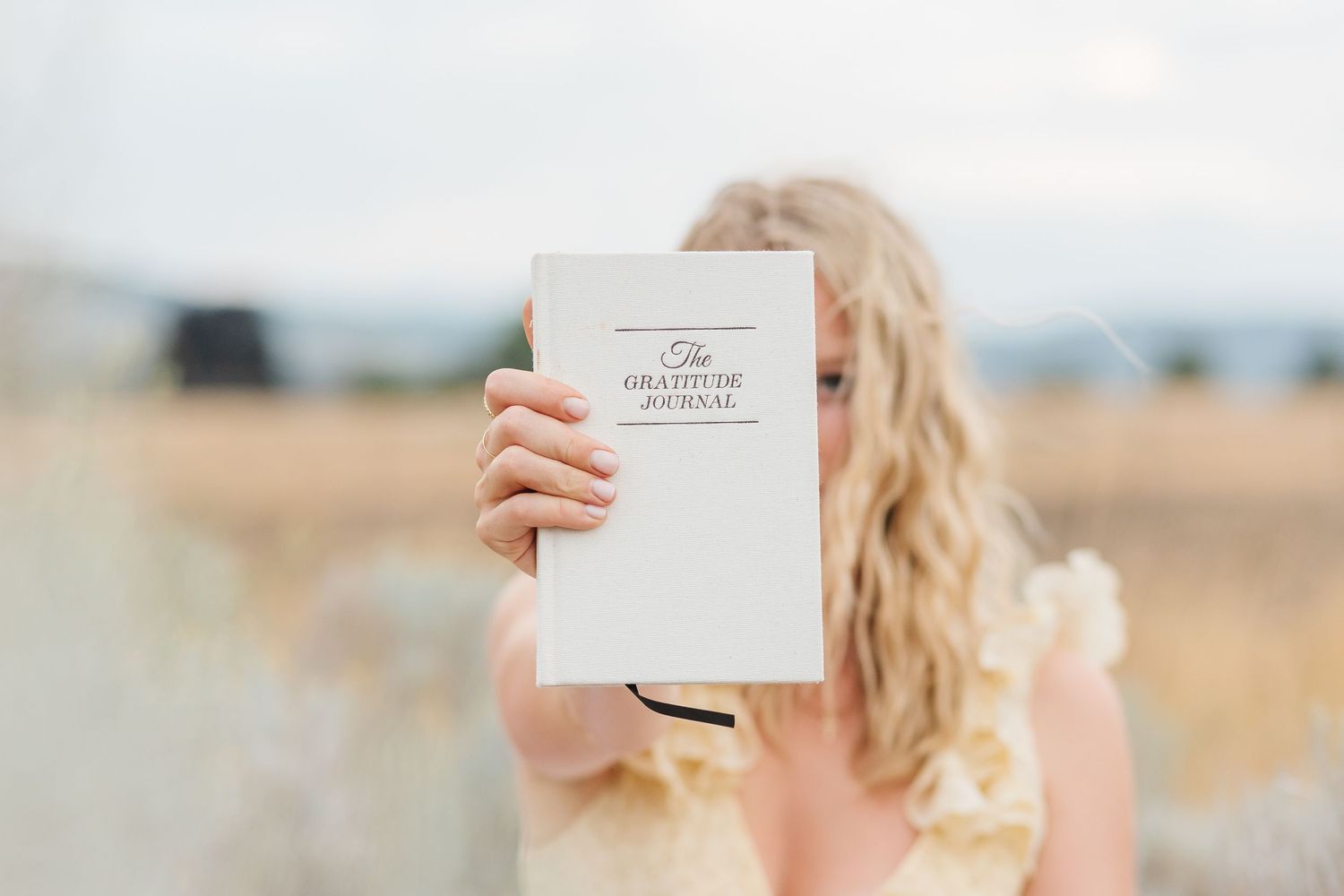 Someone with blonde wavy hair holds up a white book titled The Greater Story in a golden wheat field.