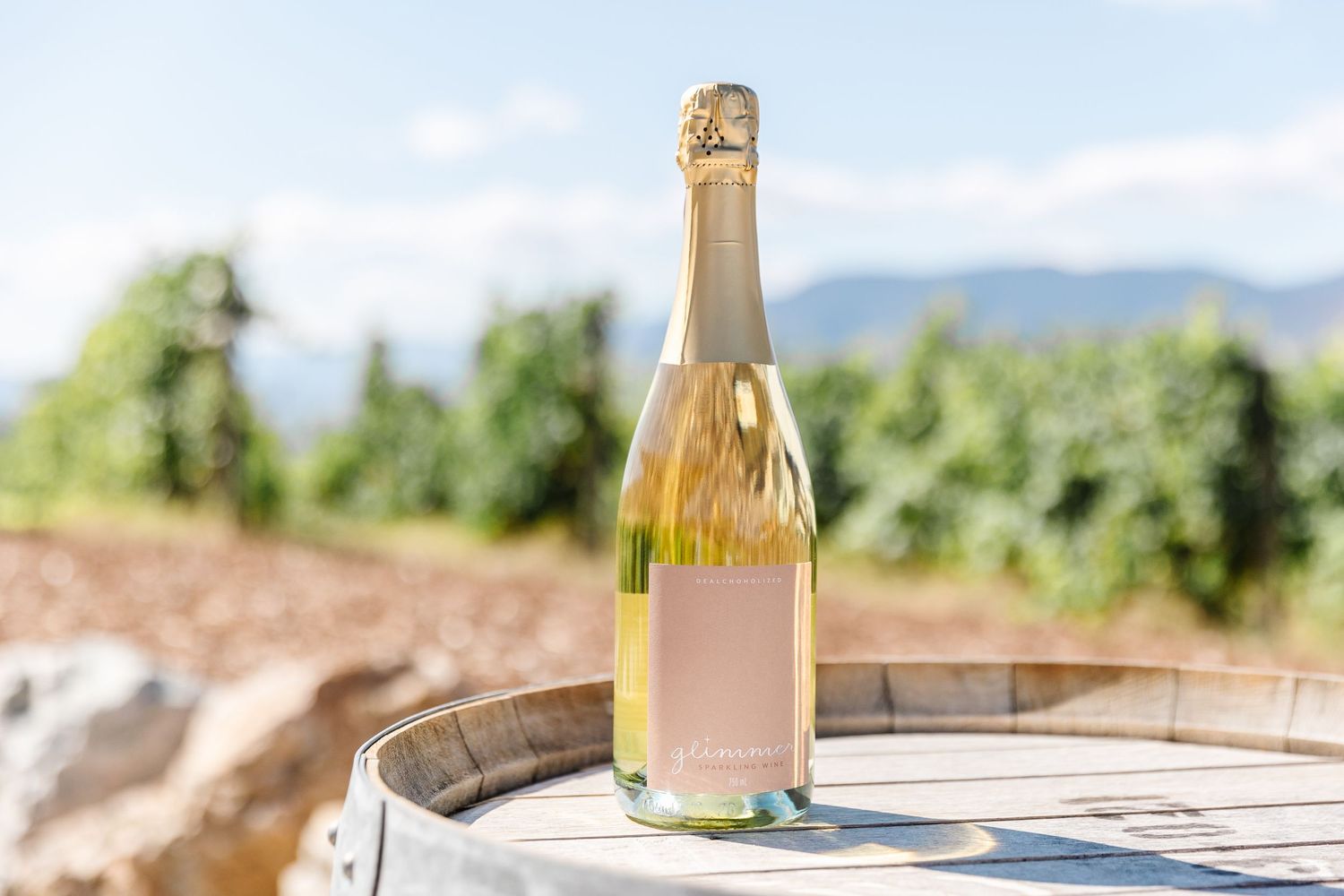Champagne bottle sitting on wooden barrel outdoors with mountain landscape in background.