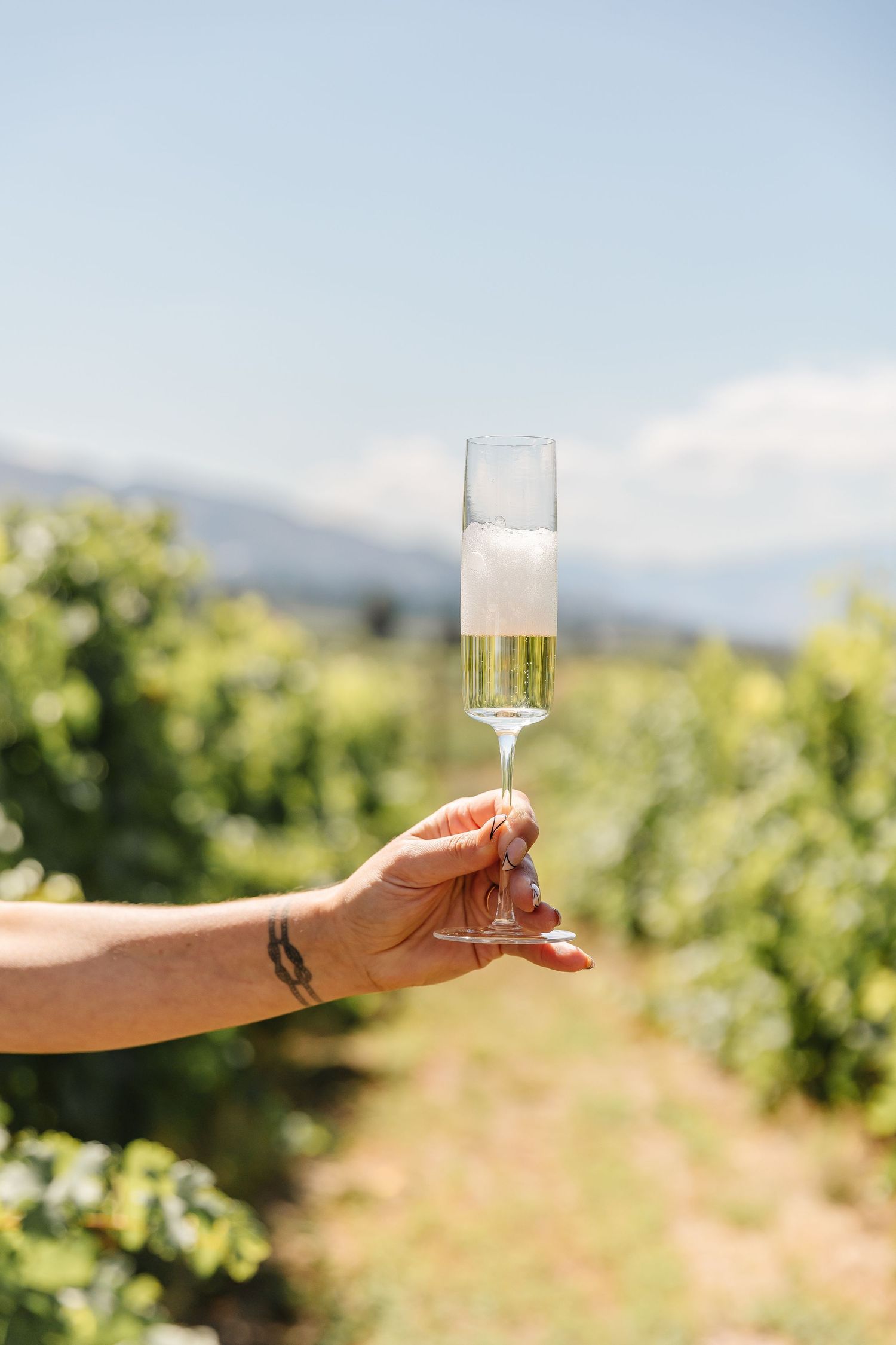 Hands holding champagne glasses against a scenic vineyard backdrop in golden sunlight.