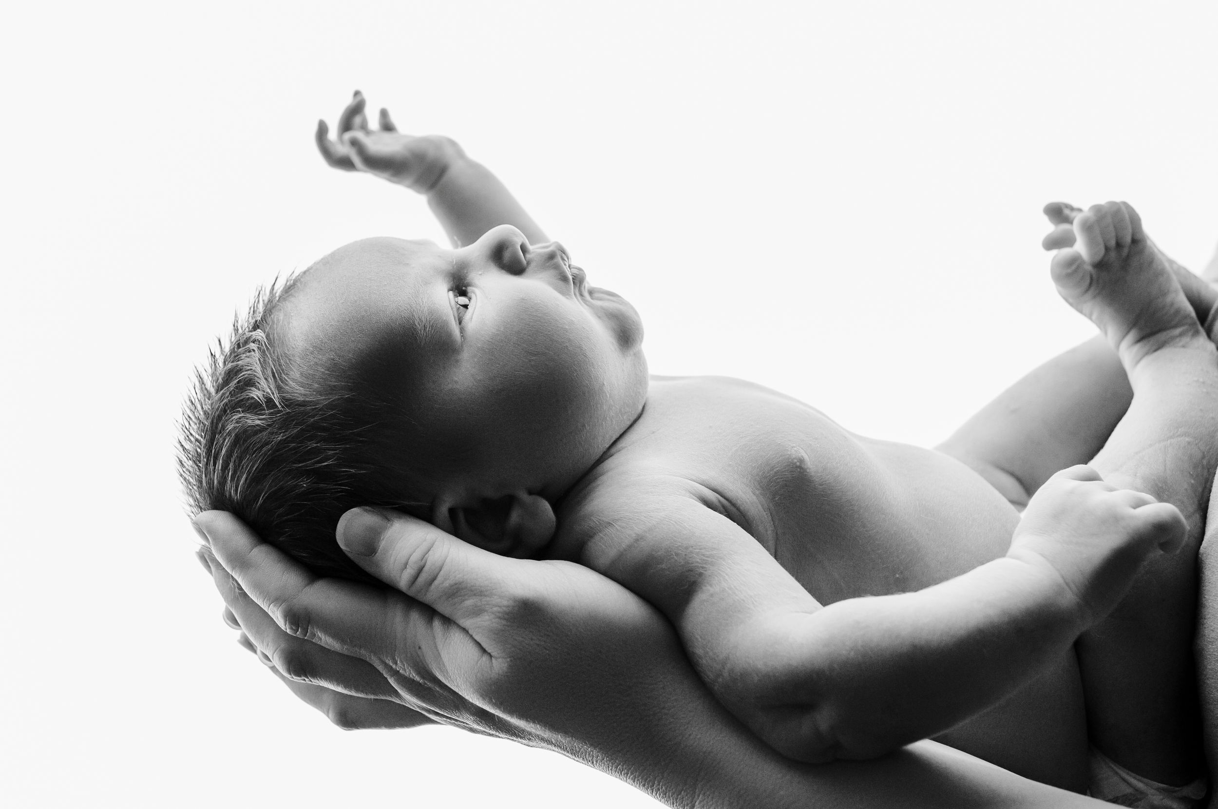 Black and white photo of a newborn baby cradled gently in adult hands against a white background.