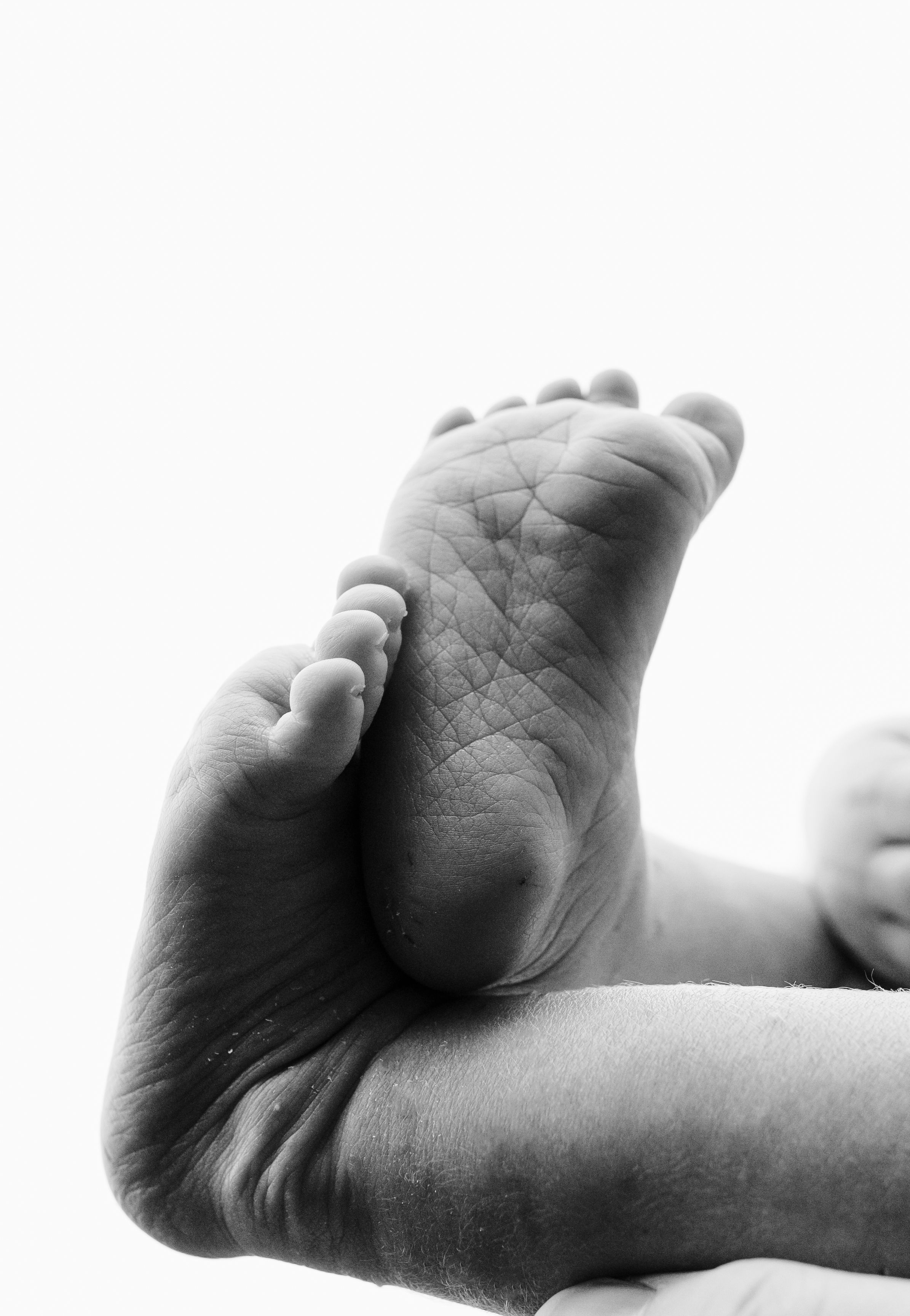 Black and white close-up photo of a newborn baby's tiny feet held gently in an adult's hand.