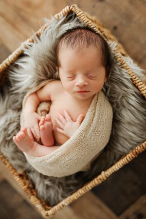 baby in basket with grey fur