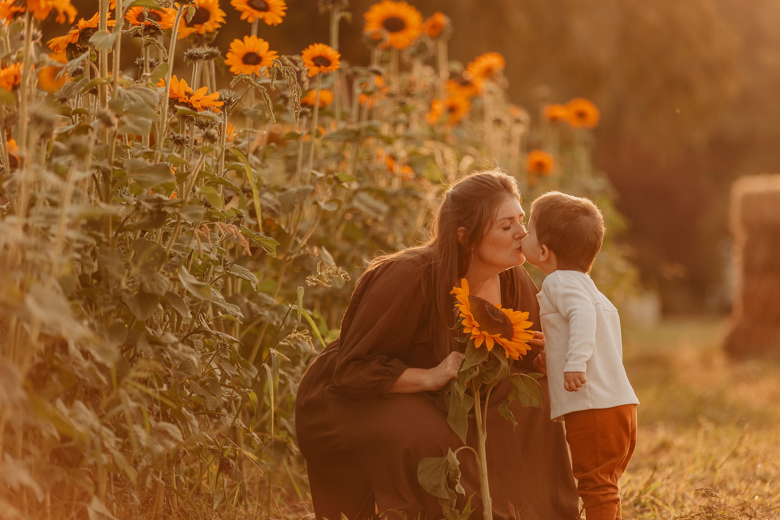 A mother and young child share a tender kiss among golden sunflowers in a warm sunset field.