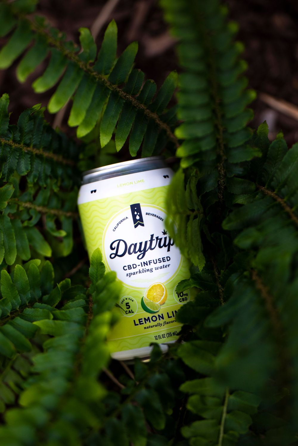 A can of Daytrip CBD Lemon Lime beverage nestled among green fern leaves.