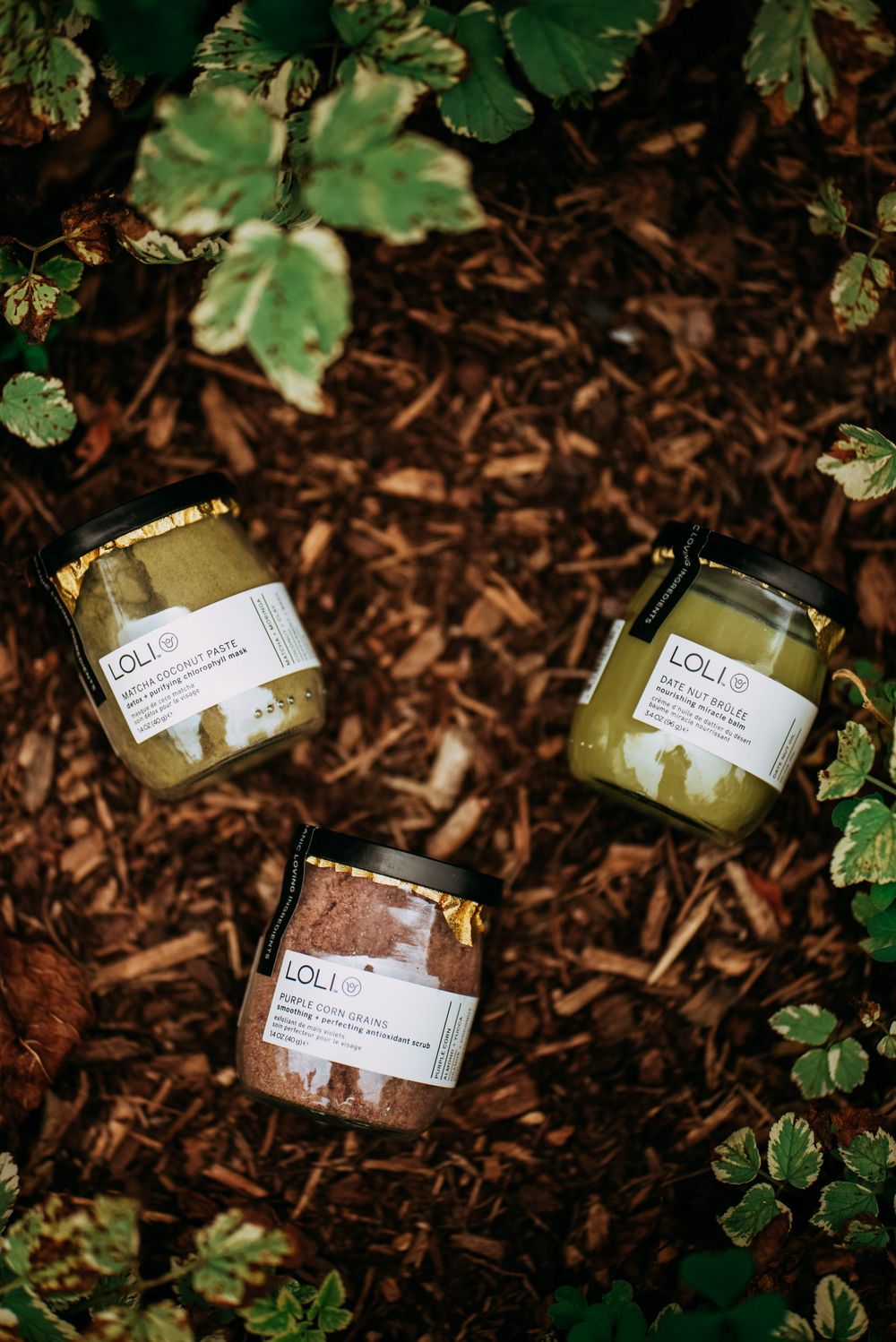 Three glass jars with product labels arranged artistically on mulch with ivy leaves.