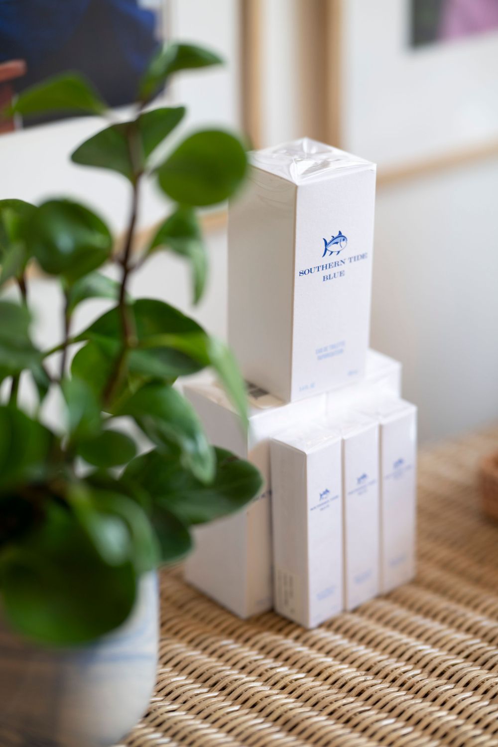 White product boxes stacked with plant in foreground showing minimalist skincare packaging.