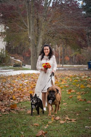 Two dogs walking through fallen autumn leaves with their owner on a crisp fall day in a park setting.
