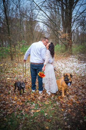A couple poses with their two large dogs in a snowy autumn forest setting with fallen leaves on the ground.