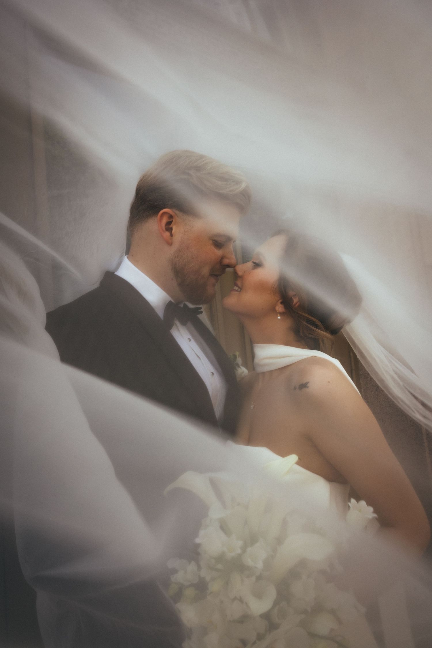 Romantic wedding portrait of a couple kissing under a lace veil with soft dreamy lighting.