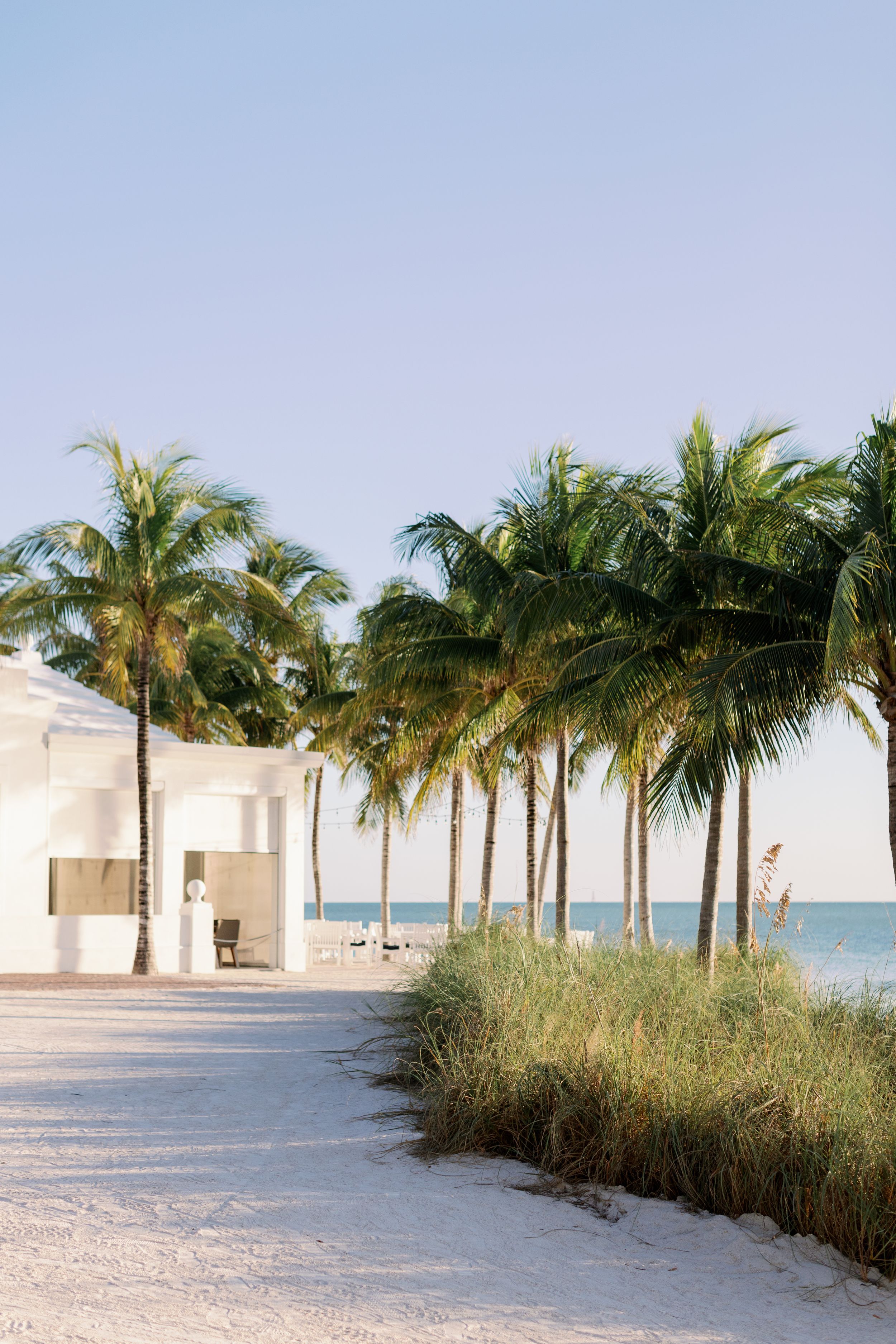 Palm trees line a sandy beach pathway with white buildings and clear blue ocean views.
