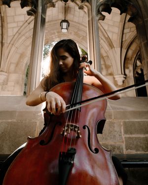 A cellist performs in an ornate stone archway, focusing on the rich wooden texture of the instrument and bow technique.