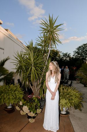 A series of four outdoor garden photos showing potted tropical plants and palms against a white wall under blue sky at dusk.