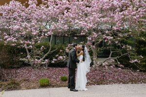 Bride and groom kissing under a blooming pink magnolia tree during spring wedding ceremony outdoors.