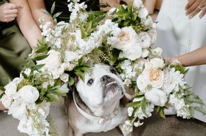 A white English Bulldog sits surrounded by lush white floral bouquets held by bridesmaids in olive green dresses.