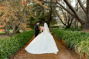 Scenic tree-lined pathway with autumn foliage and natural landscaping in a garden setting.