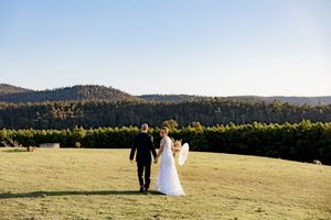 A couple in wedding attire walks through a scenic mountain meadow at sunset with evergreen forests in the background.