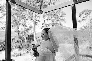 Elegant wedding party poses together in a rustic outdoor setting with natural light filtering through trees.