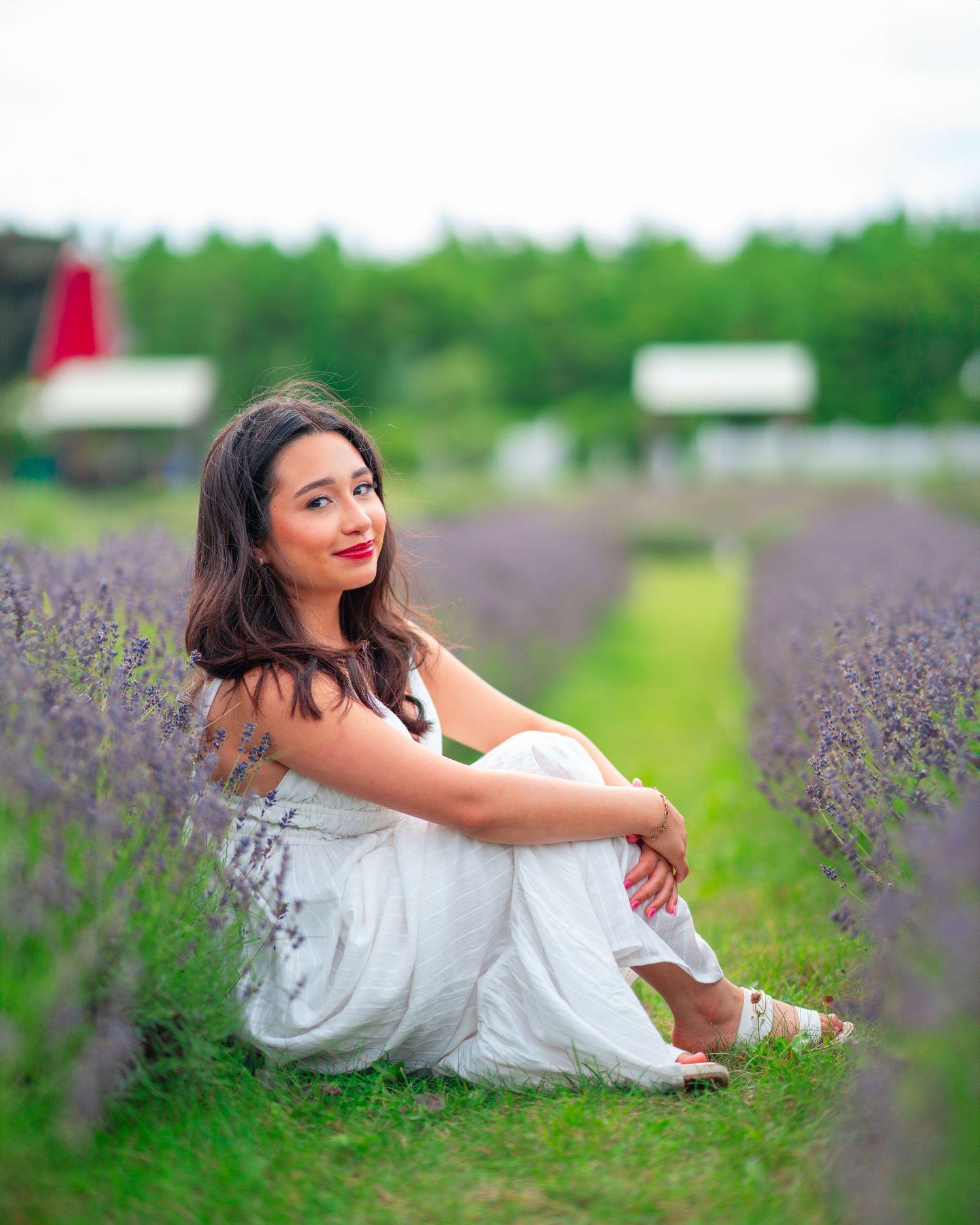 A dreamy photoshoot in a blooming lavender field with a white dress creating a romantic summer scene. Senior Photos Washington Island.