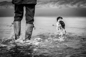 Black and white photo of person in rain boots splashing in ocean waves with a dog swimming nearby.