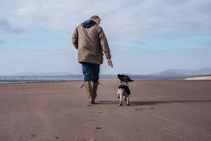 Man walking his small dog on a wide sandy beach with ocean views and cloudy sky in the background.
