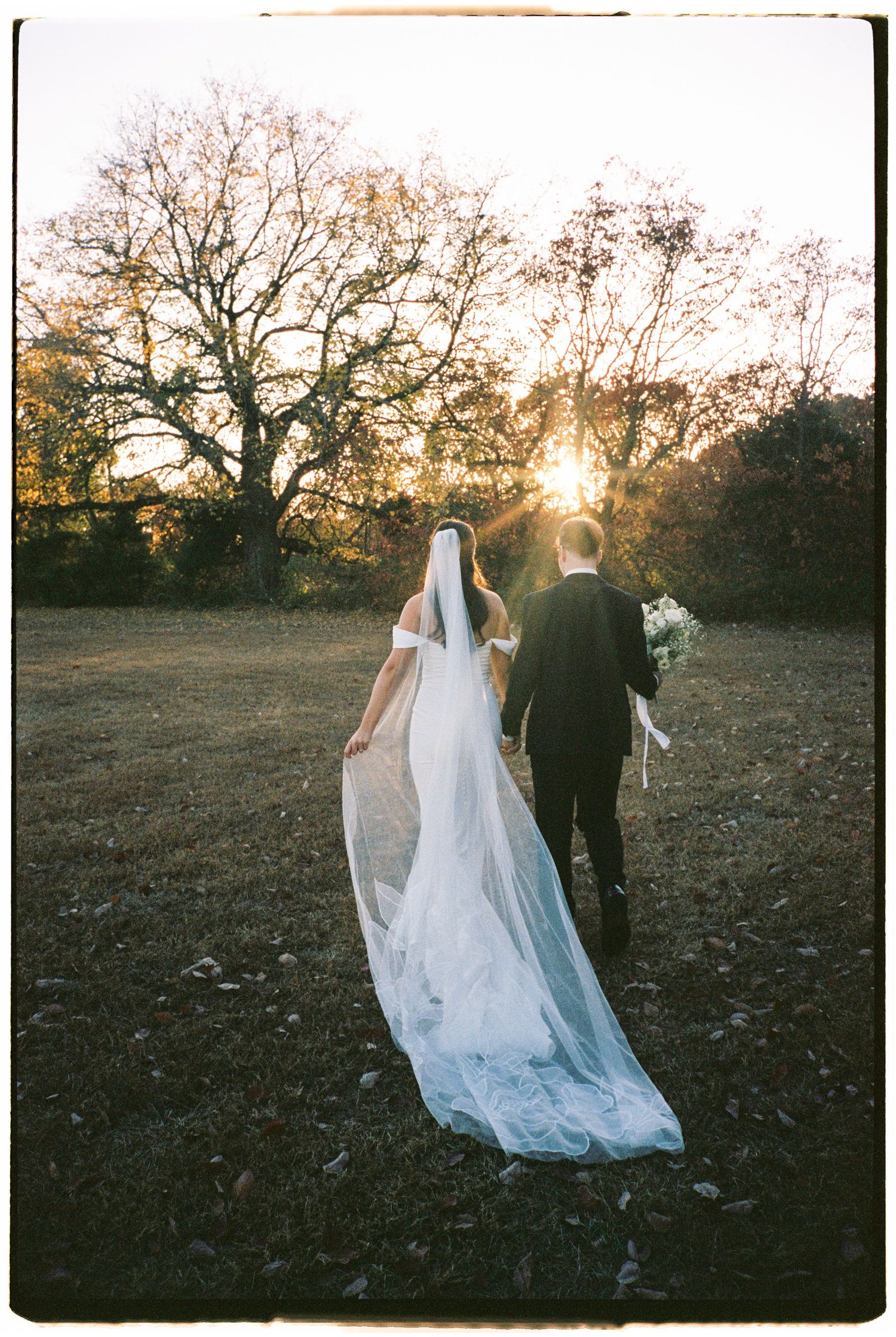 A couple in wedding attire walks through a sunlit field at sunset with a flowing white veil trailing behind them.