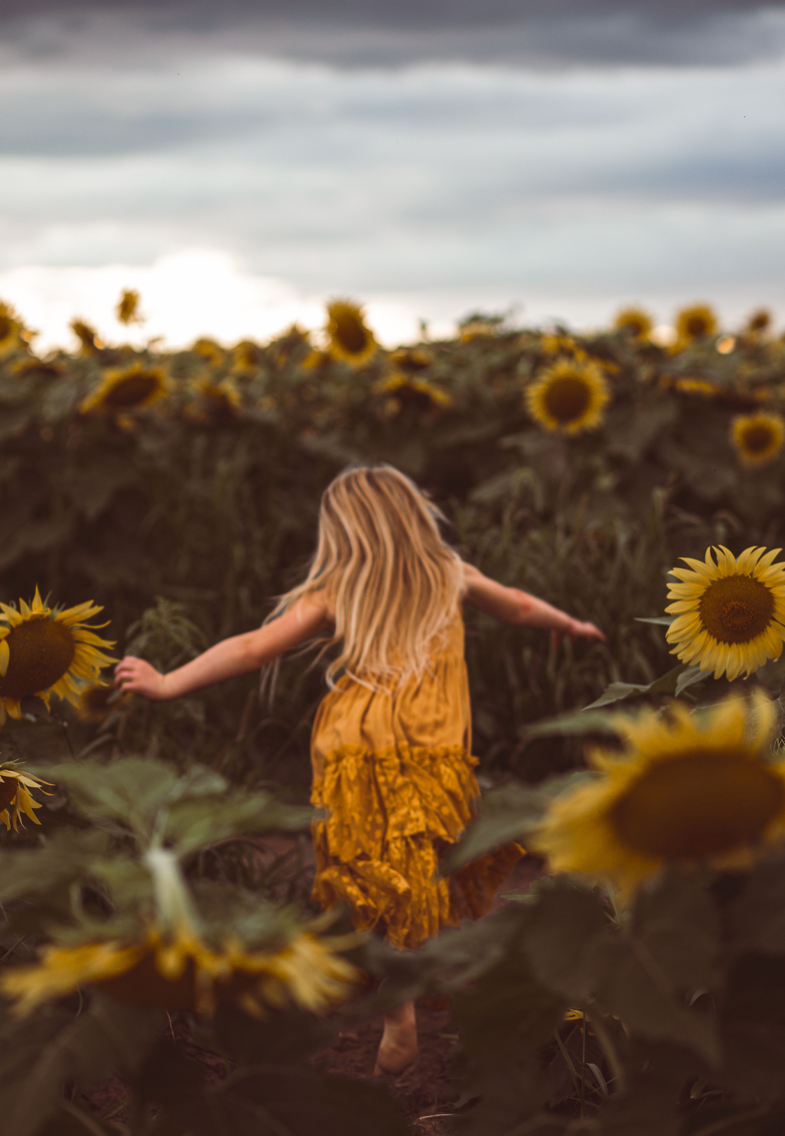 Wild child sunflower session.