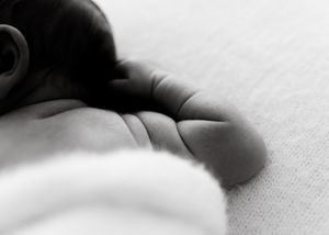 A series of abstract black and white images showing soft curves and gradients in monochromatic tones.