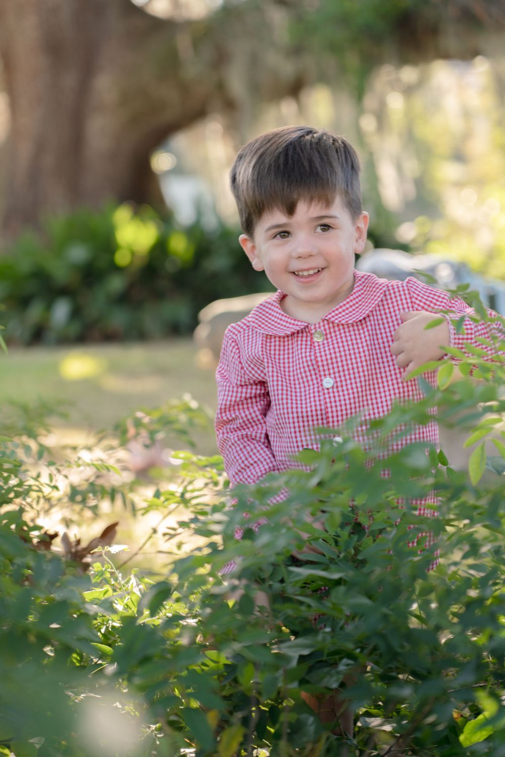Children in red gingham clothing peek through green foliage in a garden setting.