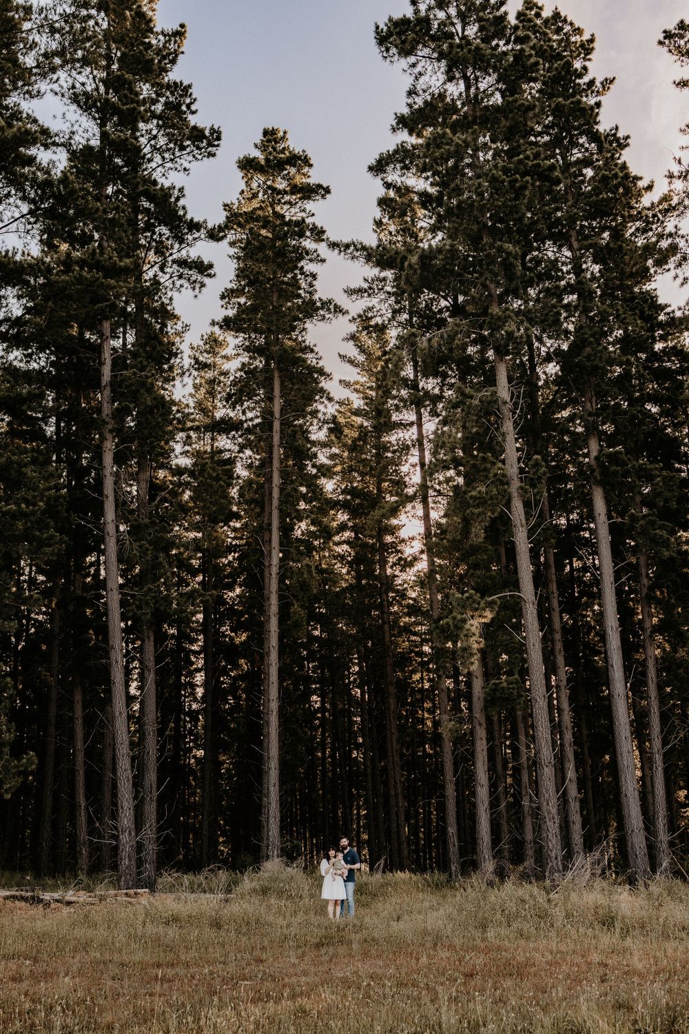 Adelaide family photographer - family in kuipto forest at sunset