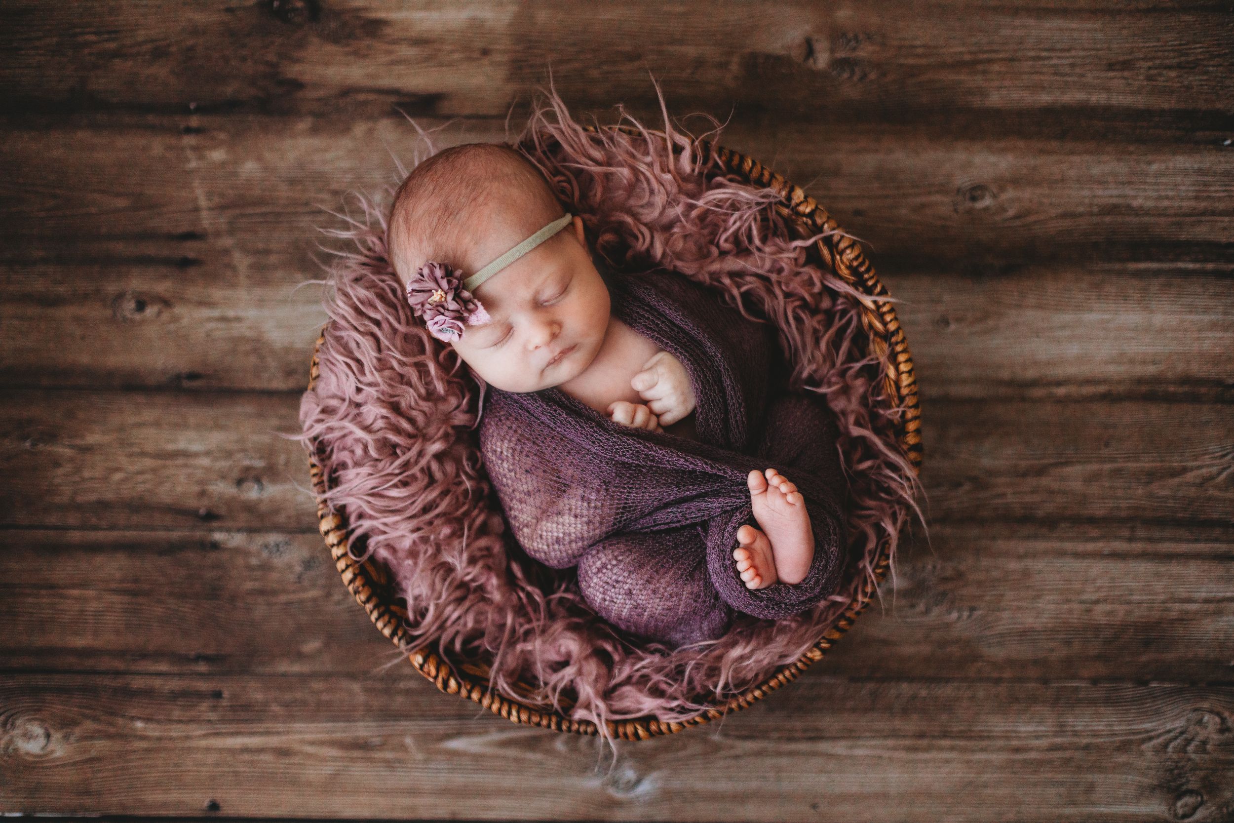 Artistic newborn portrait in rustic wooden basket with purple wrap. Annapolis Newborn photographer