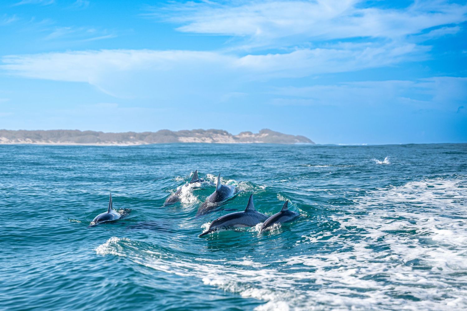 Aerial view of surfers and boats clustered together in vibrant turquoise ocean waters waiting to catch waves.