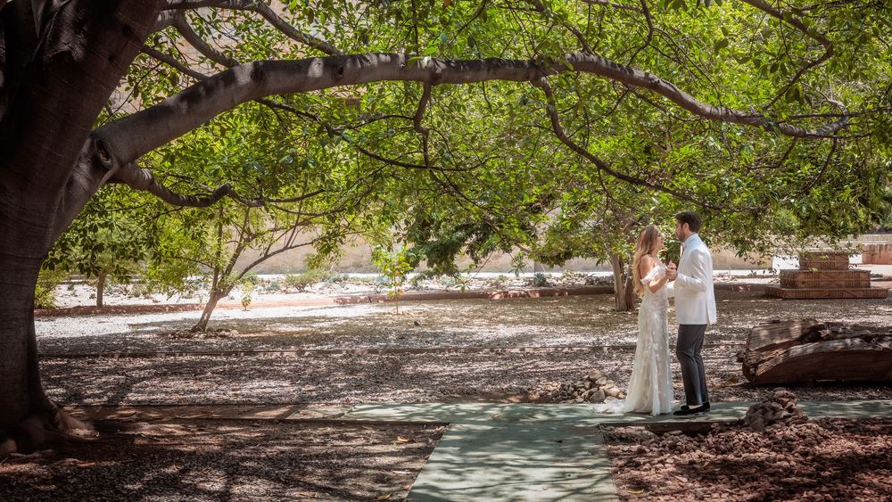 Panoramic view of a garden wedding venue with lush green trees and natural shade.