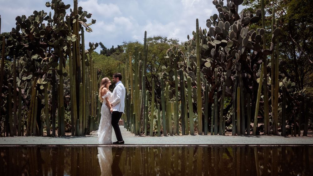 Wedding couple poses under tall trees in an outdoor garden setting with natural lighting.
