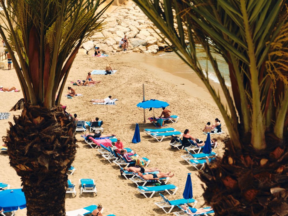 Palm trees shade a sunny beach with blue lounge chairs and beachgoers relaxing on the sand.