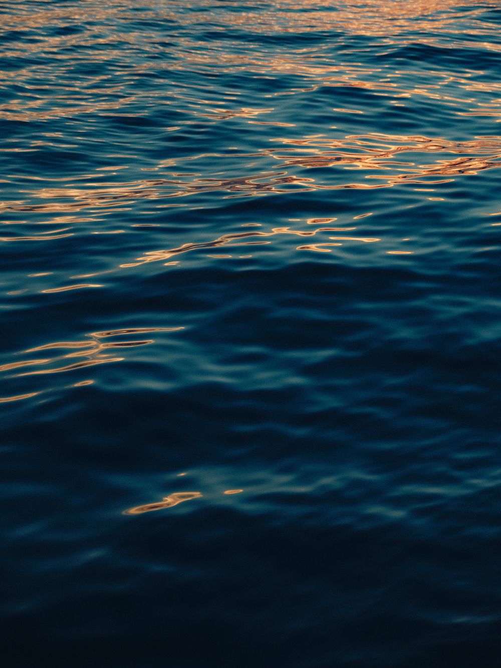 Rippling dark blue ocean water reflecting golden sunset light on its surface.