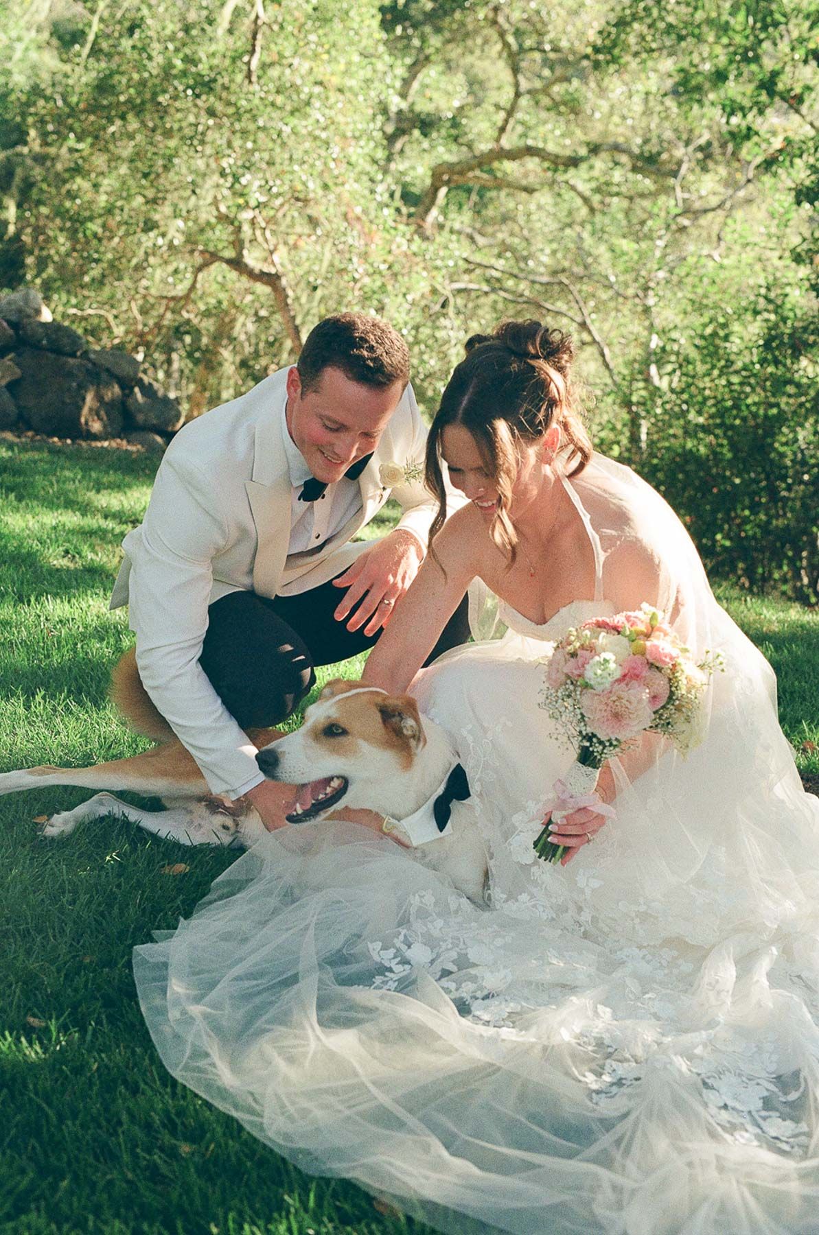 film photograph of bride and groom with their dog on their wedding day in north carolina
