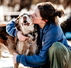 Sweet moment between faithful dog and person in blue sweater sharing affection.