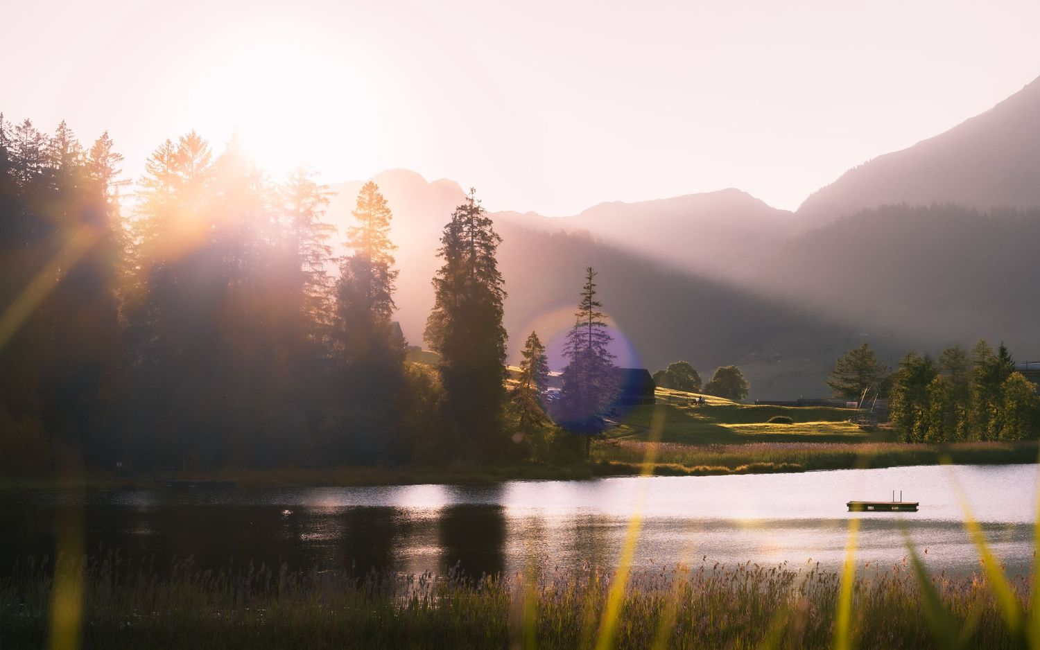 Triptych of mountain lake scene, pine forest aerial view, and hiking trail.