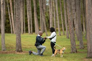 Outdoor marriage proposal in pine tree forest with man on bended knee presenting ring to his partner with dog nearby.