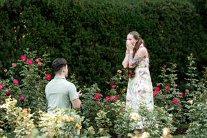 Romantic marriage proposal moment in colorful rose garden with emotional bride-to-be.