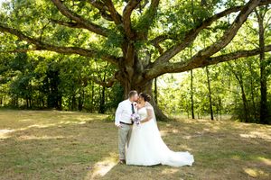 Bride and groom sharing a romantic kiss beneath a large sprawling oak tree in a sunlit forest clearing.