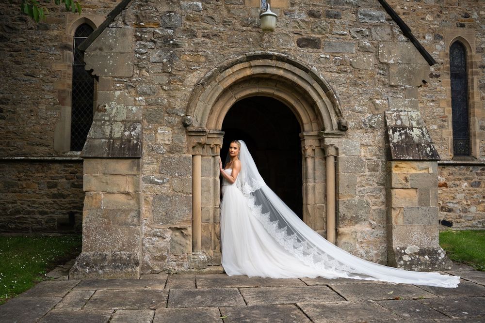 the bride and veil