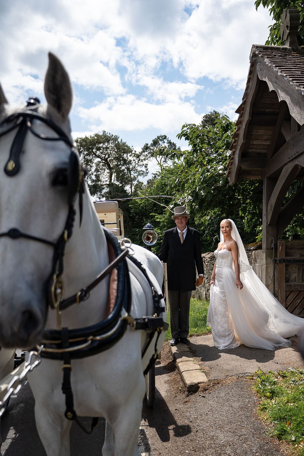 horses for a wedding
