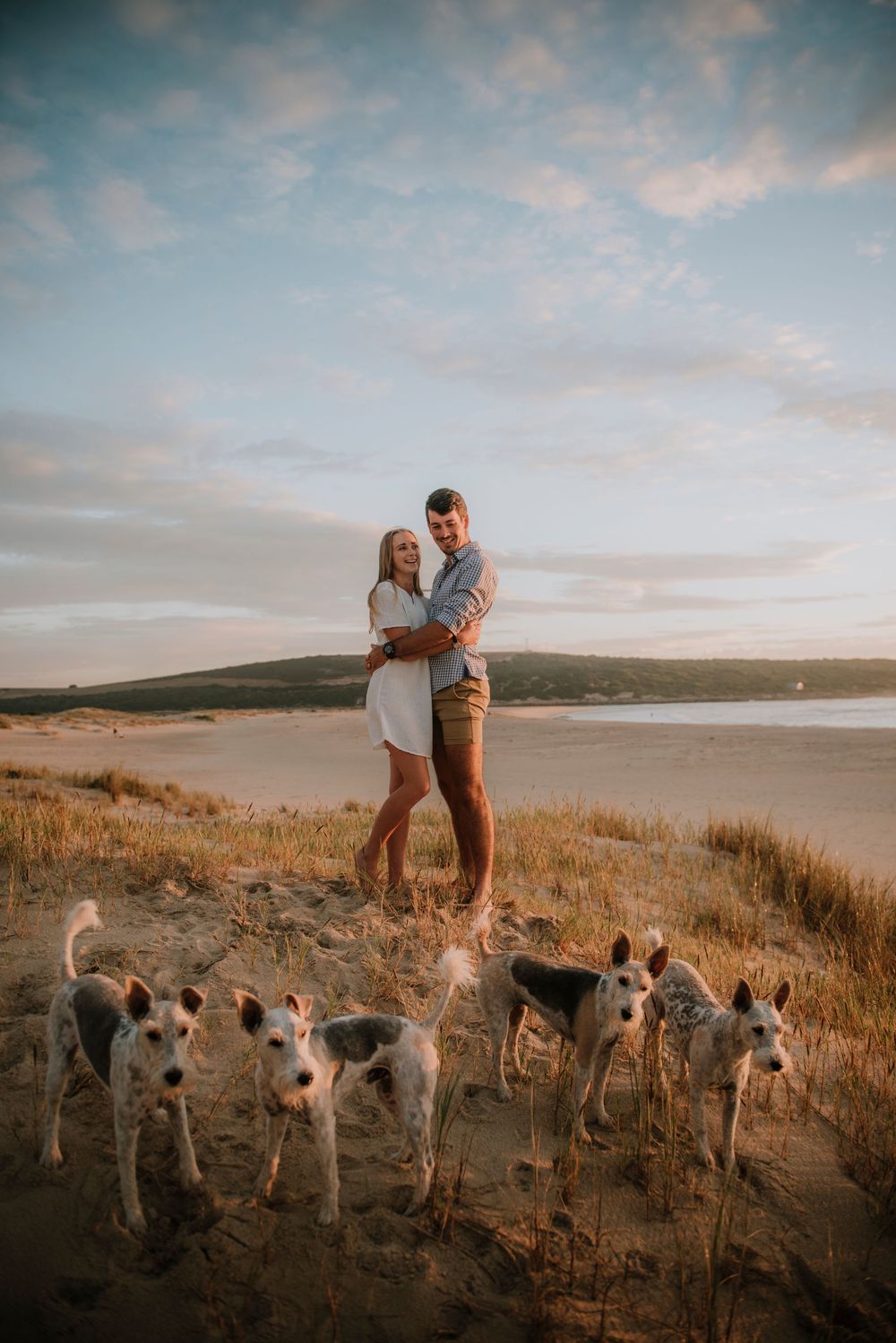 A heartwarming beach photo featuring a couple enjoying a romantic walk with their dogs by the ocean. Captured during golden hour.