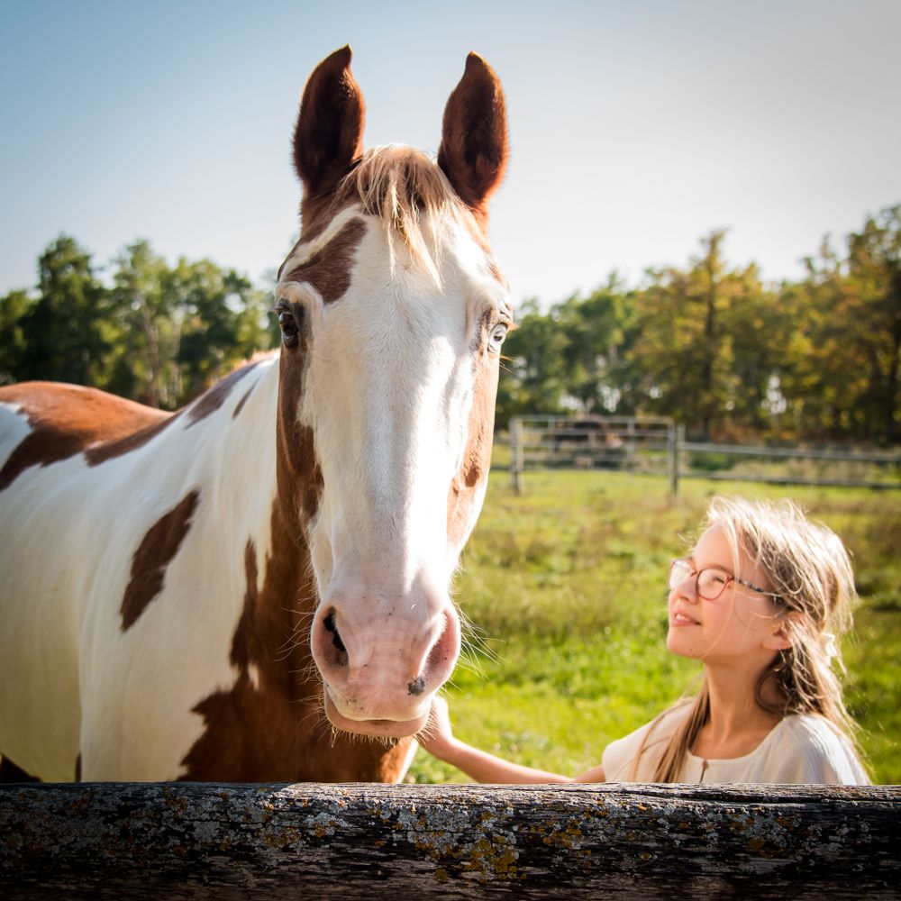 girl and her horse photo, equine photo, horse on pasture,