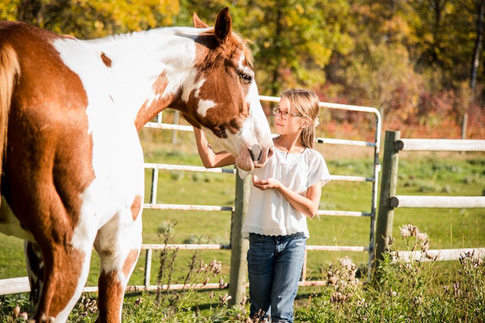 girl and her horse, horse, equine in fall photos