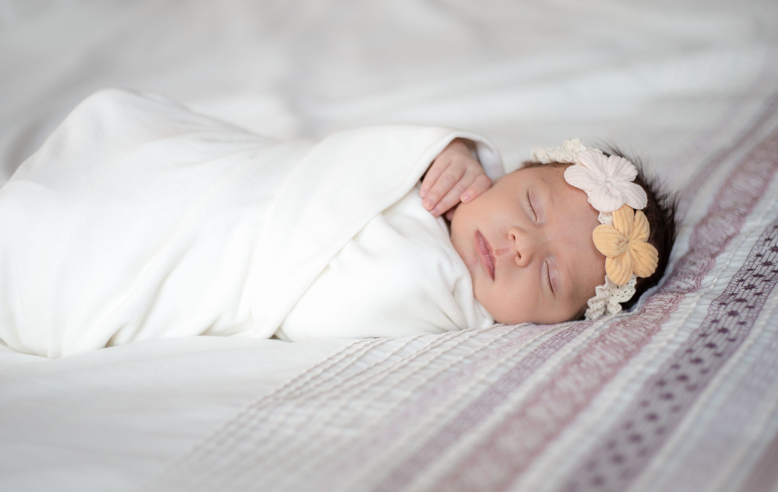 cape town newborn photographer