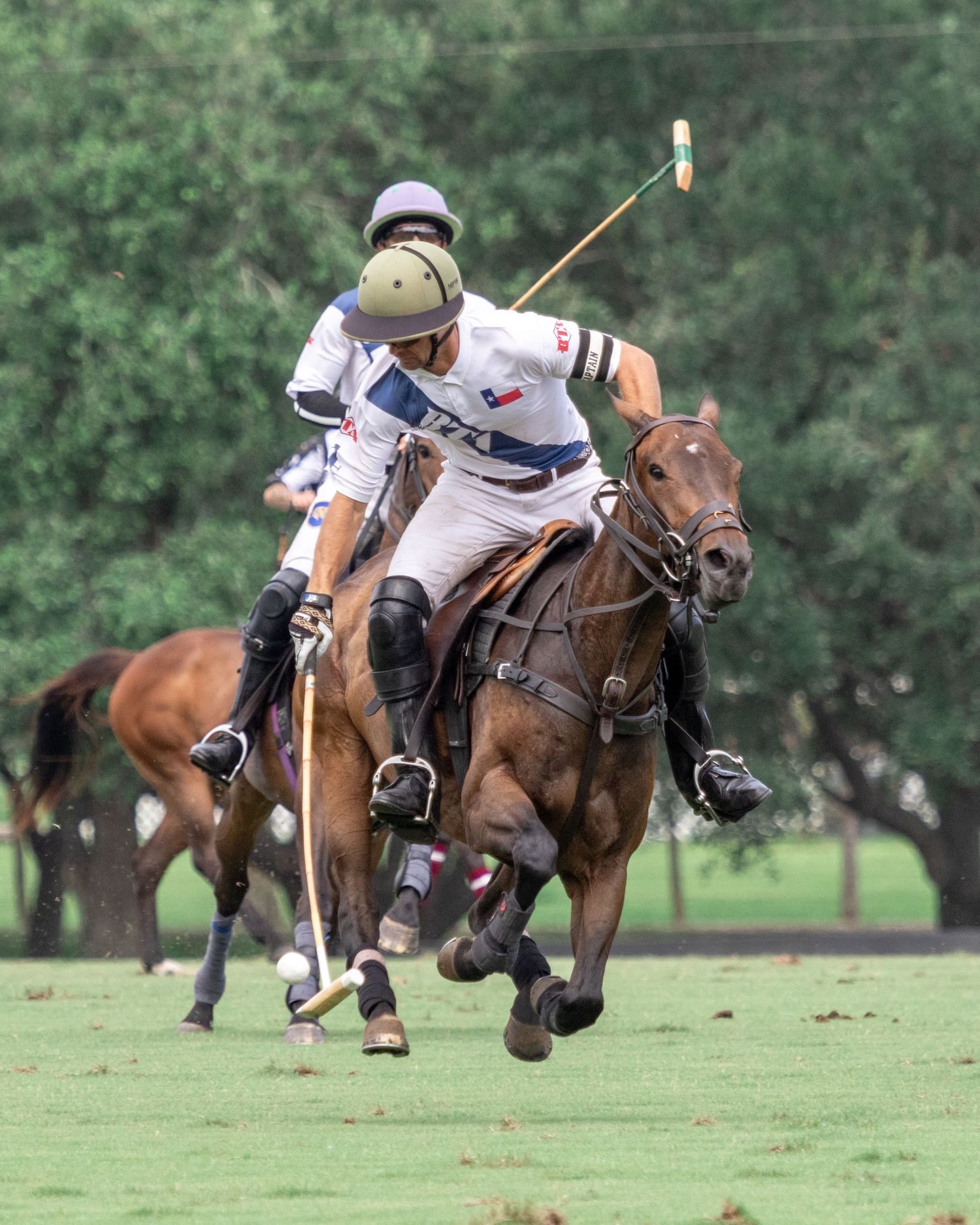 Polo Mason Wroe