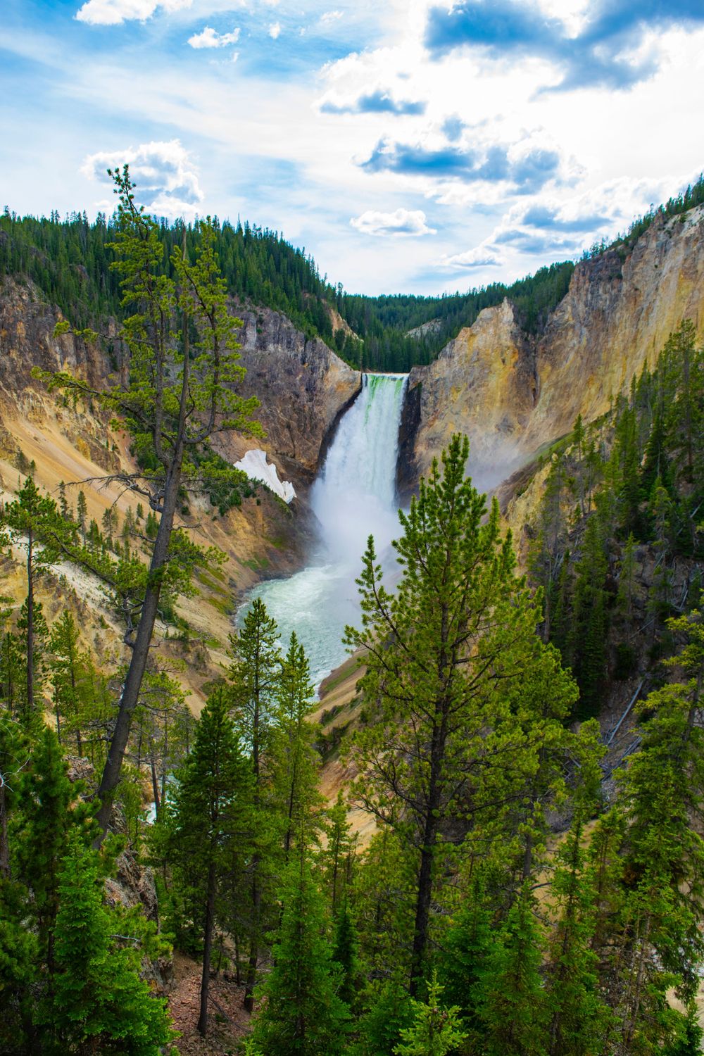 Majestic Lower Falls of Yellowstone cascading down steep canyon walls surrounded by pine trees.